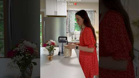 What My Kids Eat in a Day🍓 #healthy #meals #toddlermeals #recipe #mom #organic #mealideas #kids