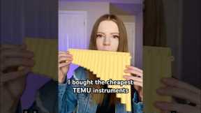 I bought the cheapest TEMU instruments!