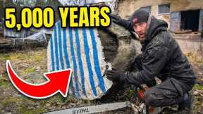 Inside A 5,000 Year Old Log... (Unreal!)