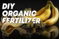 How to make FFJ Organic Fertilizer |  
