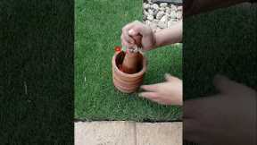 My Secret Garden Weapon: DIY Natural Spray‼️