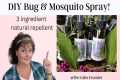 Best DIY mosquito spray | Homemade