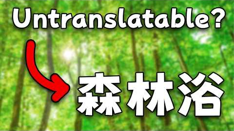 Are There Any Untranslatable Japanese Words?