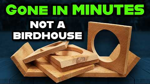 EASY $100 using Beginner Tools and Cheap Lumber