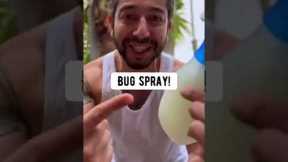DIY Bug Spray for Plants | creative explained