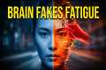 WARNING: Your Brain Fakes Tiredness