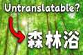 Are There Any Untranslatable Japanese 