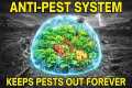 The Anti Pest System (That Keeps