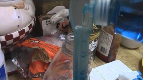 DIY organic garden insect repellent- Dawn soap-cheap,safe