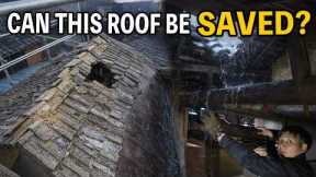 After Years of Leaks, a Japanese Carpenter Saved This Roof in Just 2 Days
