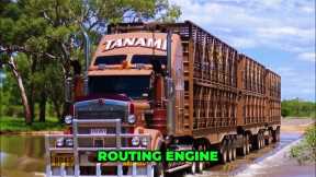 Avoid $3M Fines: Transport Software Compliance Explained