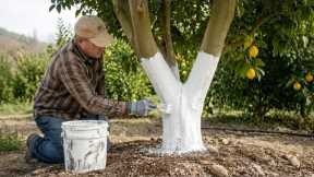 3 Proven Ways to Stop Ants, Snails & Garden Pests (Fast & Naturally!)