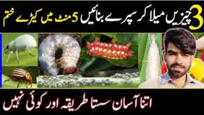 Best Homemade Bug Spray Recipe | Pest Control | Bug Spray @ATCOrganic