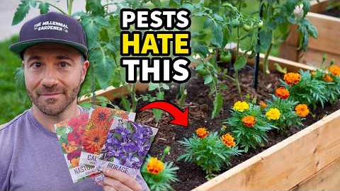These Powerful Plants STOP Garden Pests Without Harsh Chemicals!