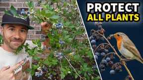 The Easy Way to Protect ALL Plants From ALL Pests!
