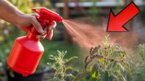 100% Stop Garden Pests FOR GOOD With These 13 Simple Tricks