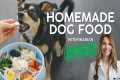 VET APPROVED Homemade Dog Food Recipe 