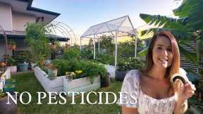 How I Keep Pests out of My Garden Naturally