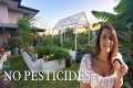 How I Keep Pests out of My Garden