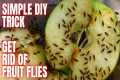 Easy Way To Rid Your Kitchen Of Fruit 
