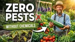 The Natural Pest Solution Gardeners Wish They Knew Years Ago
