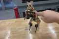 Nybble Programmable Robot Cat Kit |