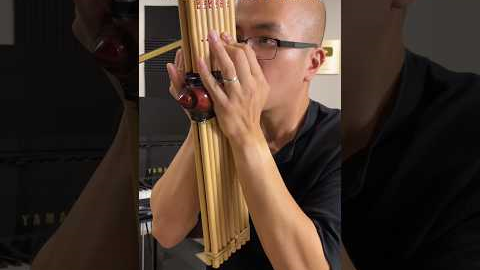 1 second vs 1 YEAR of Khaen Flute!!!