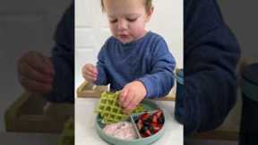 Apple Spinach Waffles | Easy Toddler Breakfast 😋 #momlife #easyrecipe #toddlerfood #breakfast
