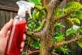 KILL THEM ALL IN 3 SECONDS! Aphids,